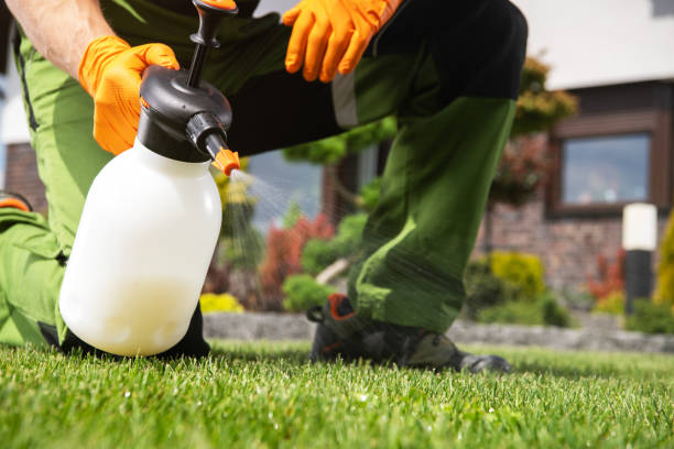 Best Residential Pest Control  in Meridian, MS