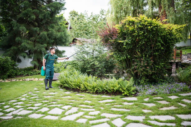 Best Mosquito Control Services  in Meridian, MS