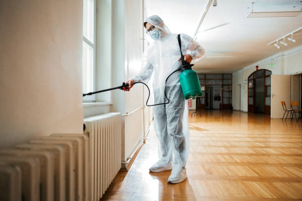 Best Local Pest Control Services  in Meridian, MS